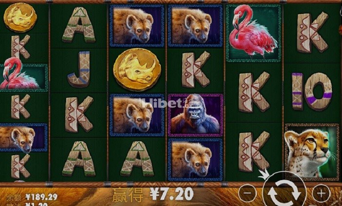210938lqahzfdkkbqdzqvq.jpg
