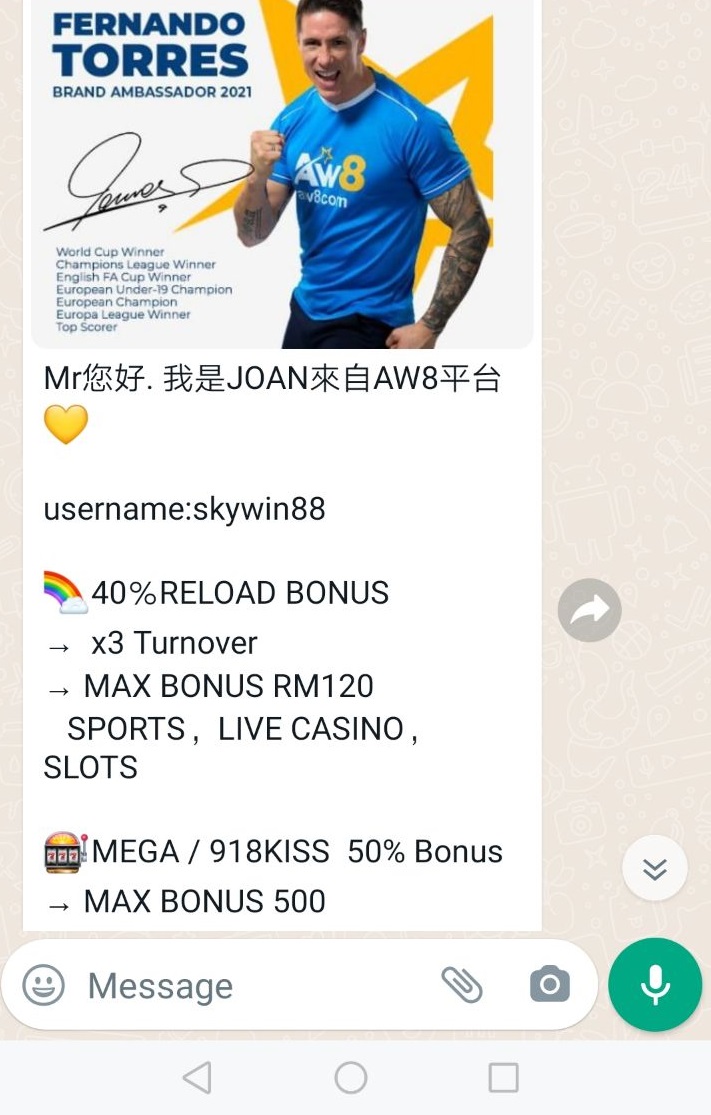 204429b888e18johqop1dq.jpg