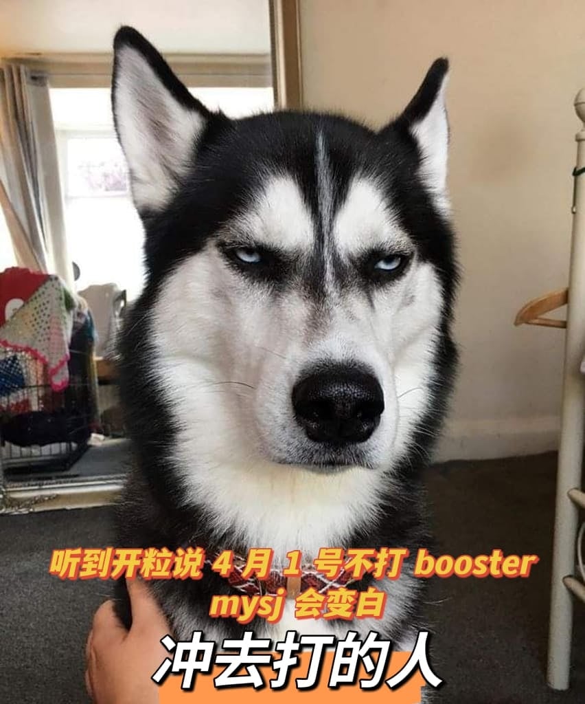 212459symo2ipwpyaouapz.jpg